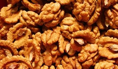walnut to cleanse the body of parasites