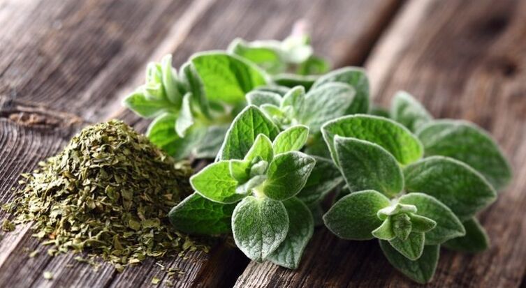 oregano has anti-parasite activity